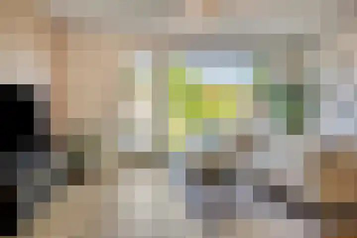 Bouwkamp 11 Kampen thumbnail 6