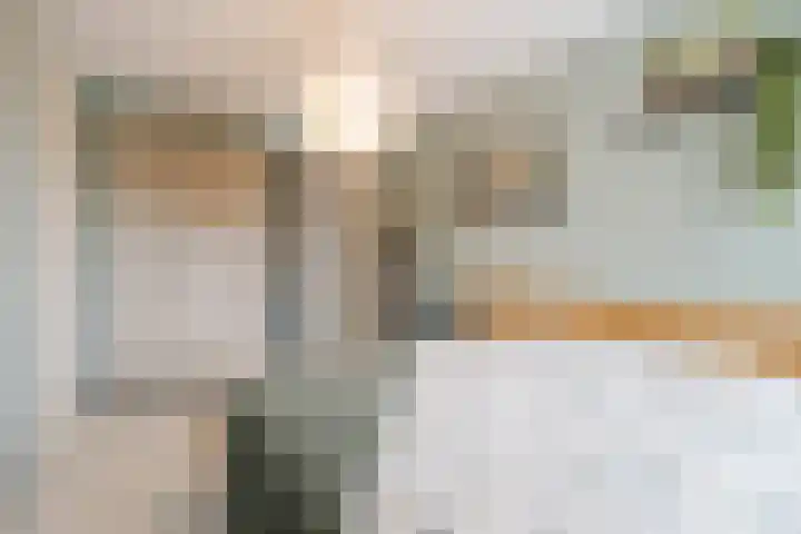 Bouwkamp 33 Kampen thumbnail 23