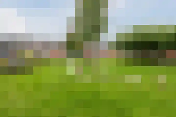 Bouwkamp 33 Kampen thumbnail 51