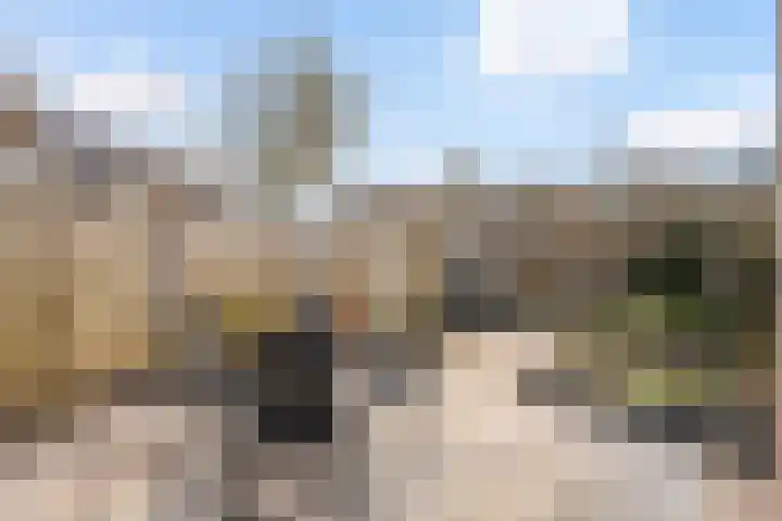 Bouwkamplaan 19 Zwolle thumbnail 12