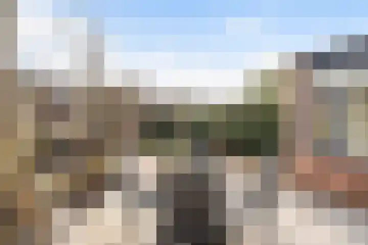 Bouwkamplaan 19 Zwolle thumbnail 13