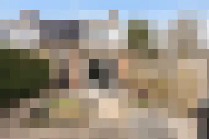 Bouwkamplaan 19 Zwolle thumbnail 14
