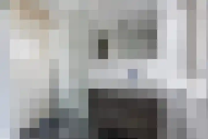 Bouwkamplaan 19 Zwolle thumbnail 27