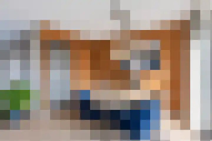 Bouwkamplaan 19 Zwolle thumbnail 9