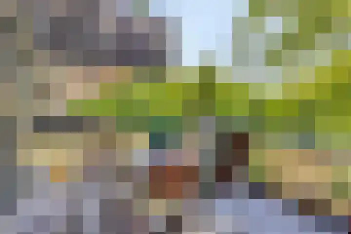 Bouwlingplein 76 Oosterhout thumbnail 15
