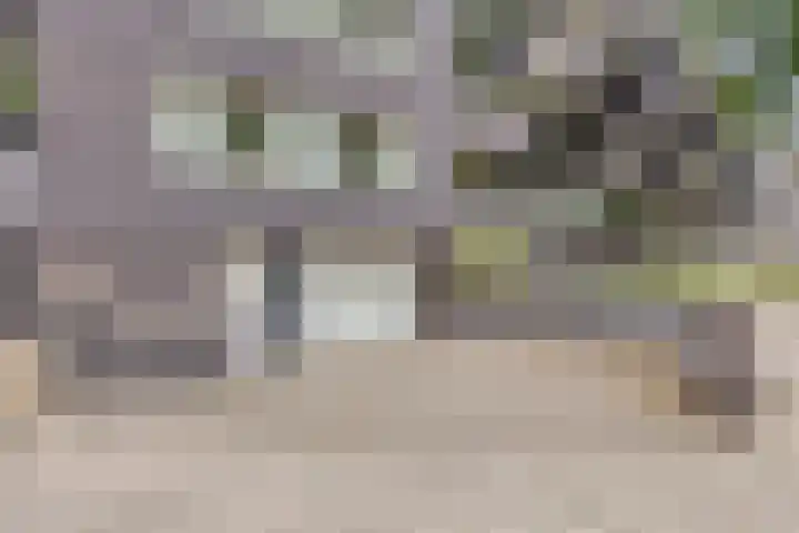 Bouwlingplein 76 Oosterhout thumbnail 31