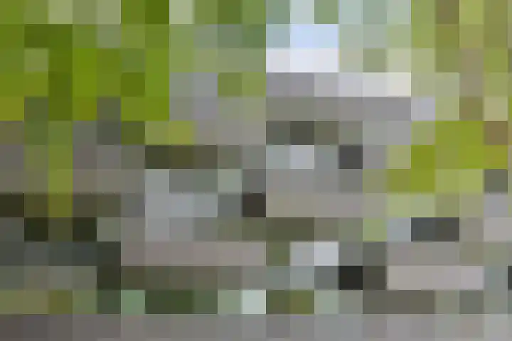 Bouwlingplein 76 Oosterhout thumbnail 32