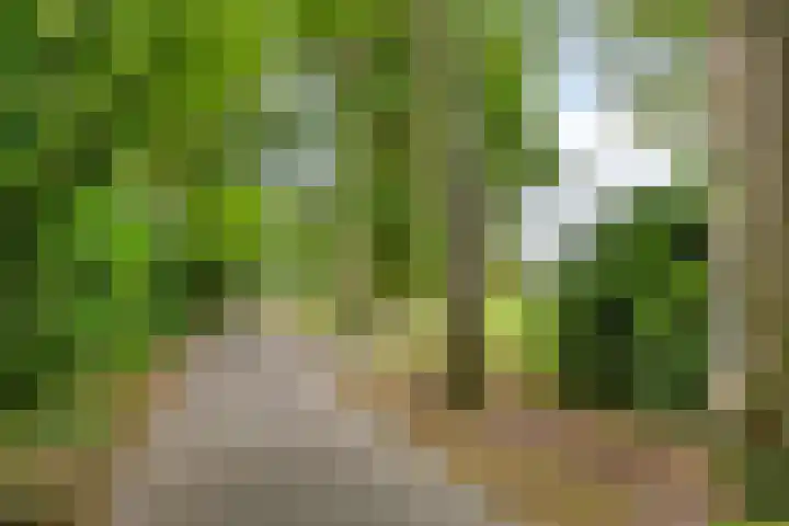 Bouwlingplein 76 Oosterhout thumbnail 34