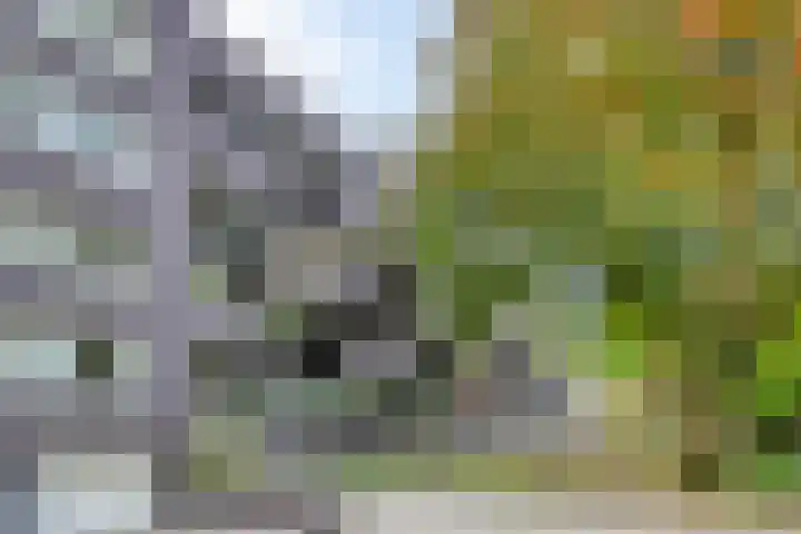 Bouwlingplein 76 Oosterhout thumbnail 5