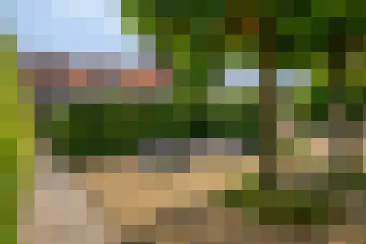Bouwlingstraat 40 Oosterhout thumbnail 46