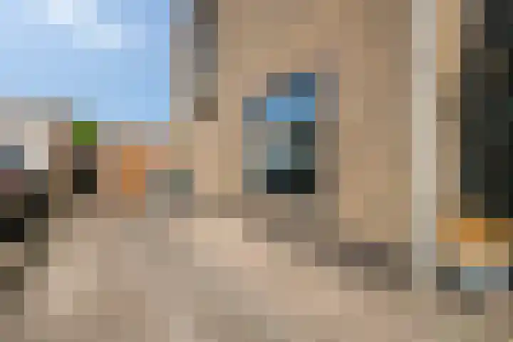 Bouwlingstraat 40 Oosterhout thumbnail 47