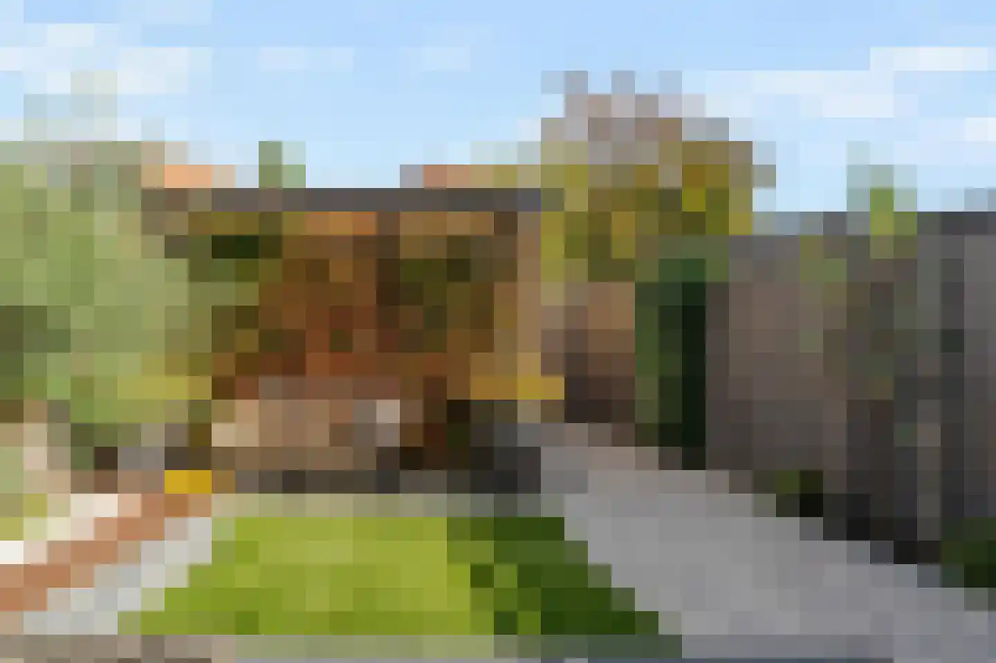 Bouwlust 108 Rhoon thumbnail 40