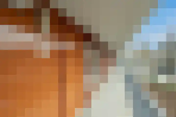 Bouwlust 11 Rhoon thumbnail 10