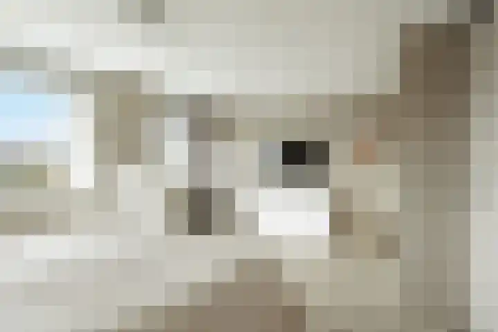 Bouwlust 133 Rhoon thumbnail 29
