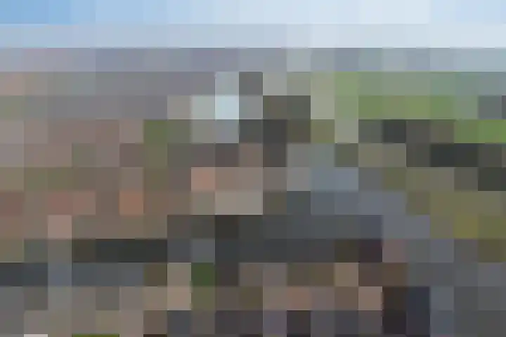 Bouwlust 133 Rhoon thumbnail 39