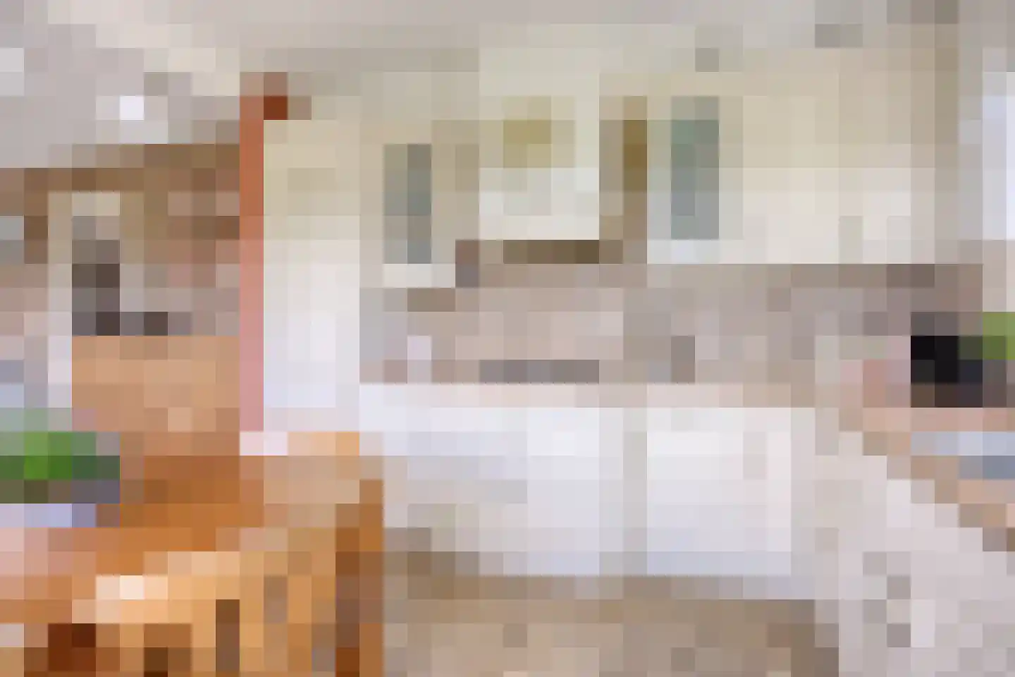 Bouwlust 14 Zoeterwoude thumbnail 13