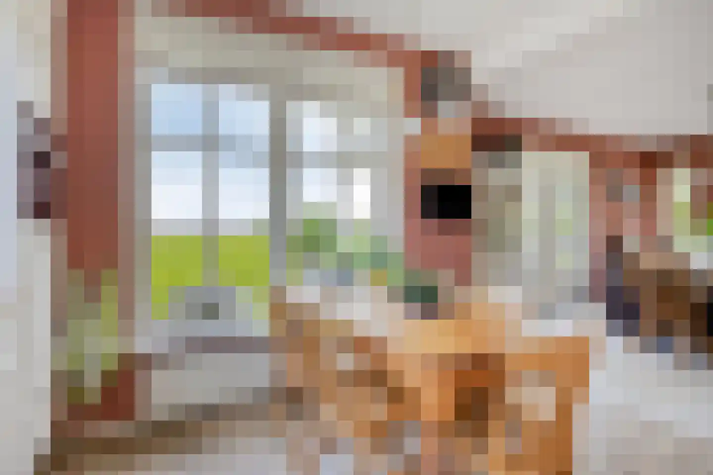 Bouwlust 14 Zoeterwoude thumbnail 15