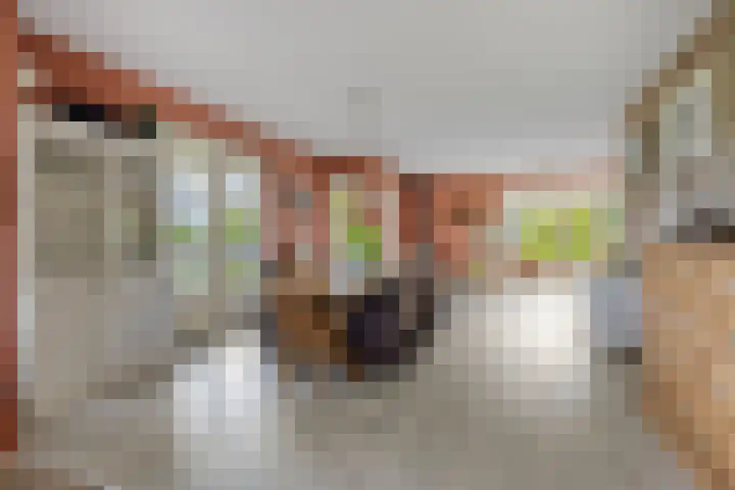 Bouwlust 14 Zoeterwoude thumbnail 16