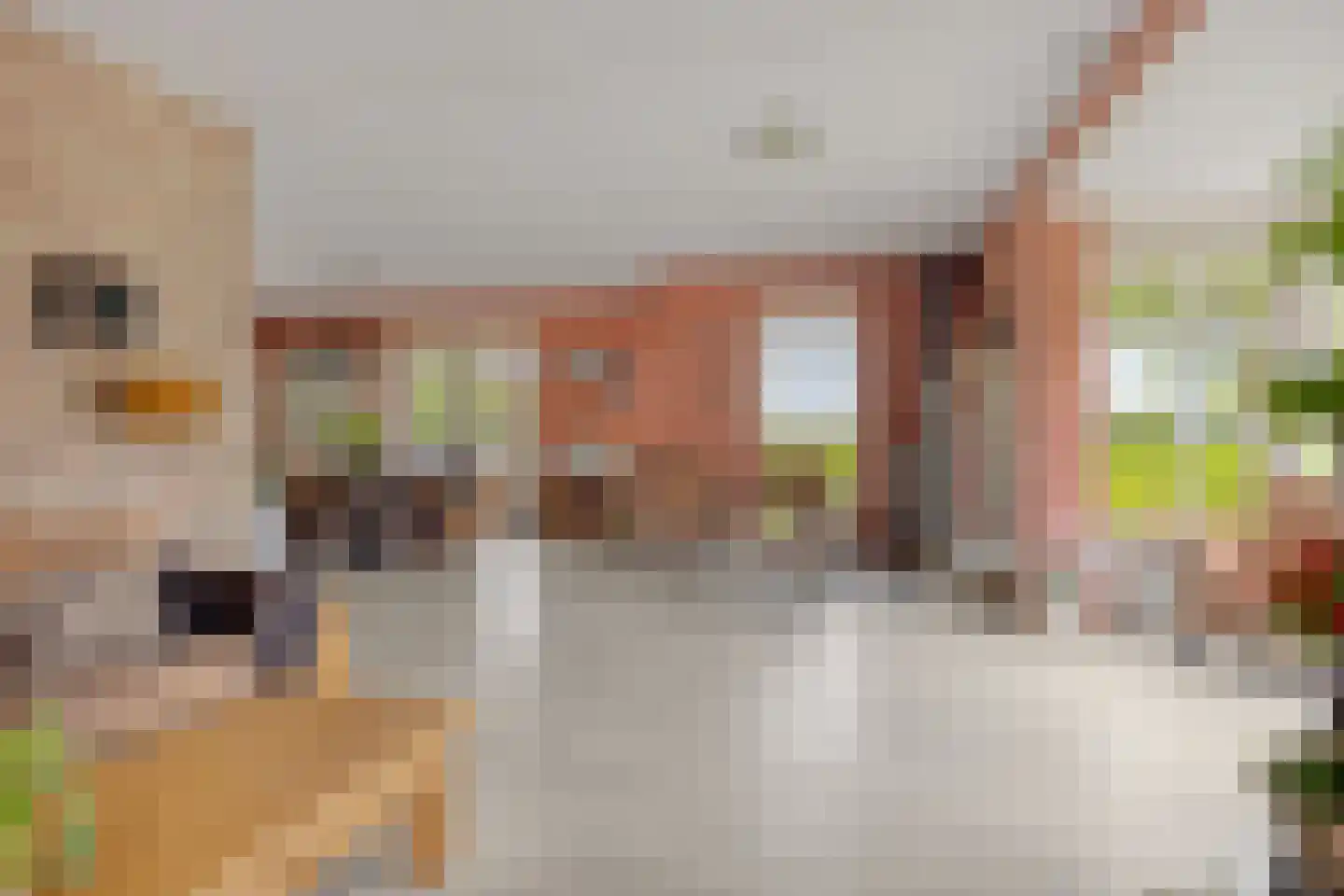Bouwlust 14 Zoeterwoude thumbnail 22