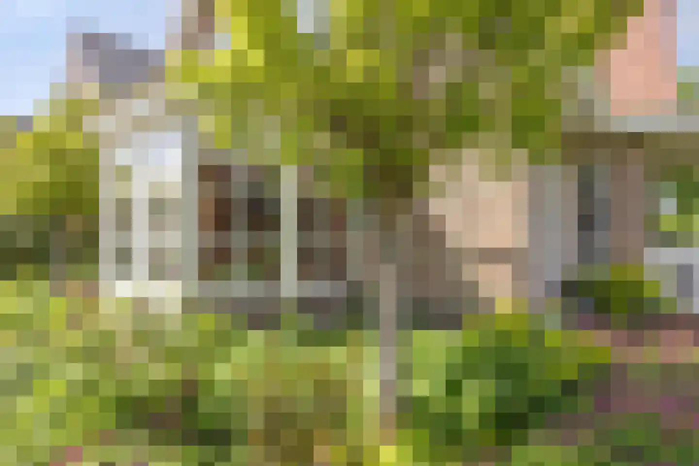 Bouwlust 14 Zoeterwoude thumbnail 25