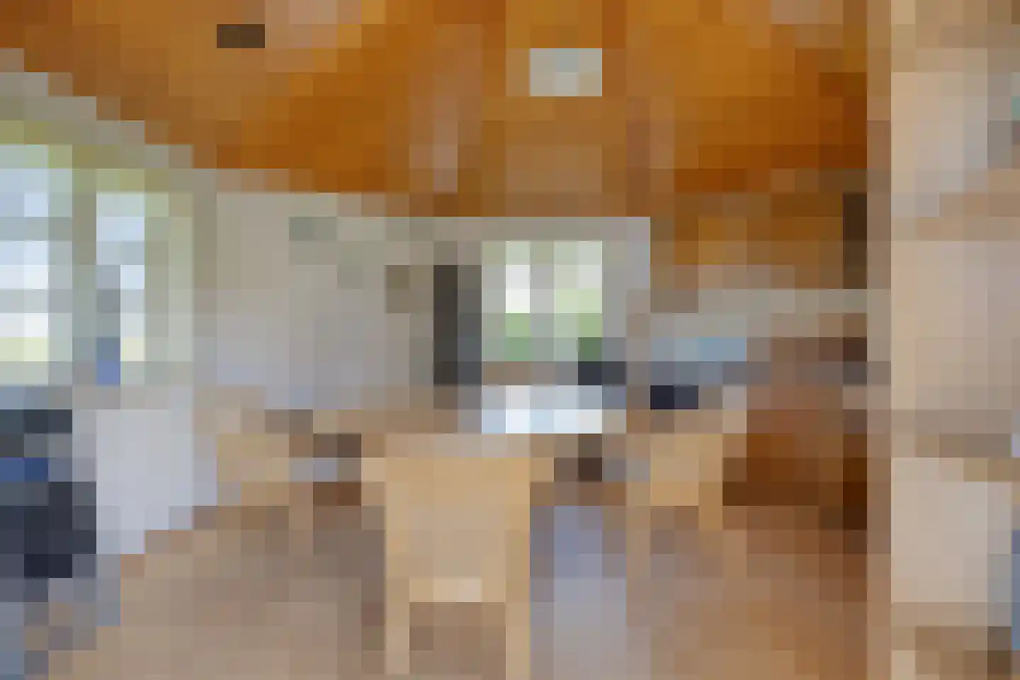 Bouwlust 14 Zoeterwoude thumbnail 34