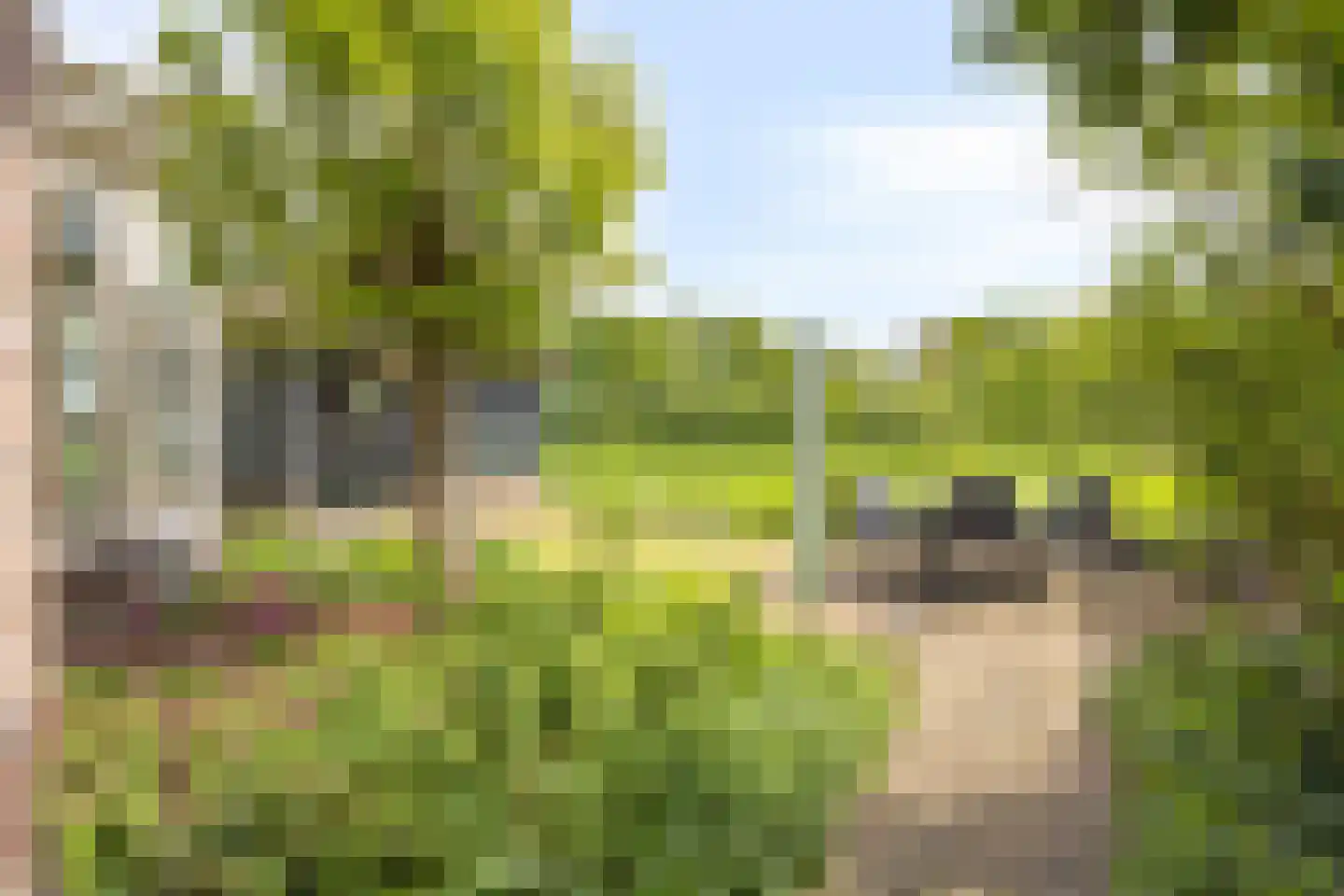 Bouwlust 14 Zoeterwoude thumbnail 35