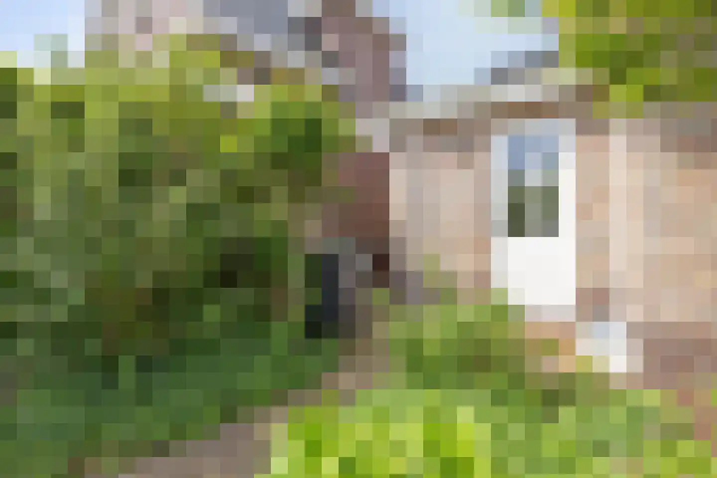 Bouwlust 14 Zoeterwoude thumbnail 36