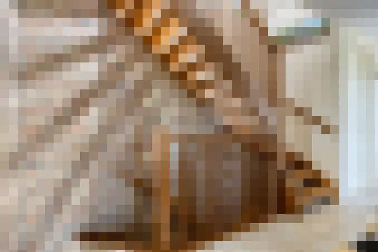 Bouwlust 14 Zoeterwoude thumbnail 43