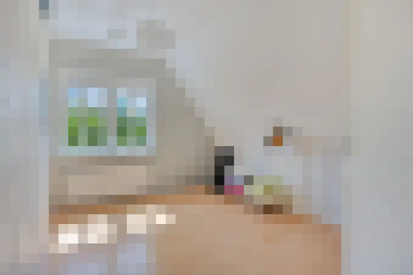 Bouwlust 14 Zoeterwoude thumbnail 45