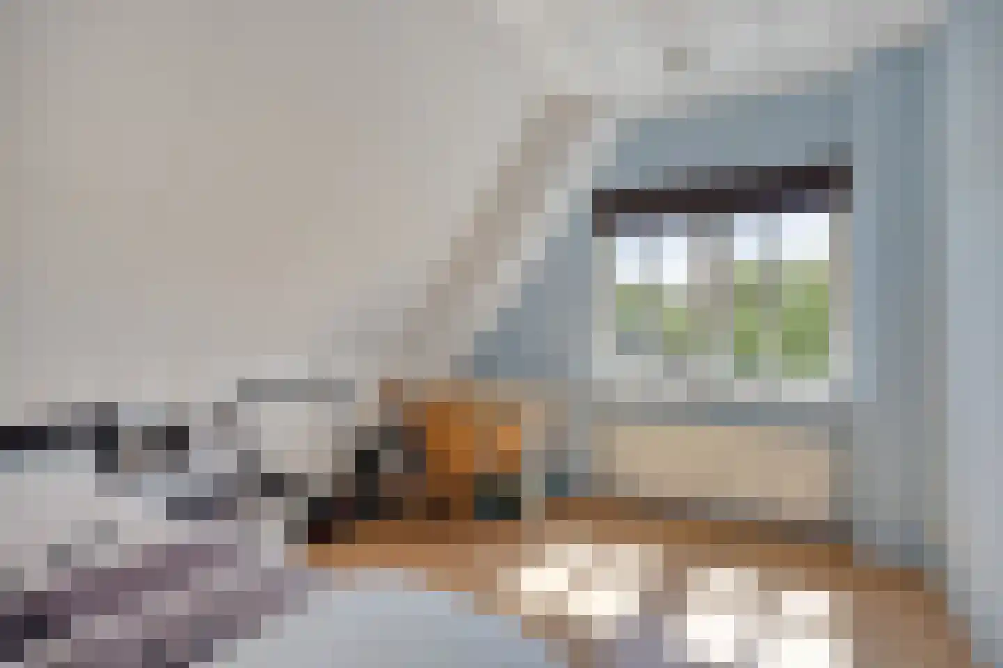 Bouwlust 14 Zoeterwoude thumbnail 47