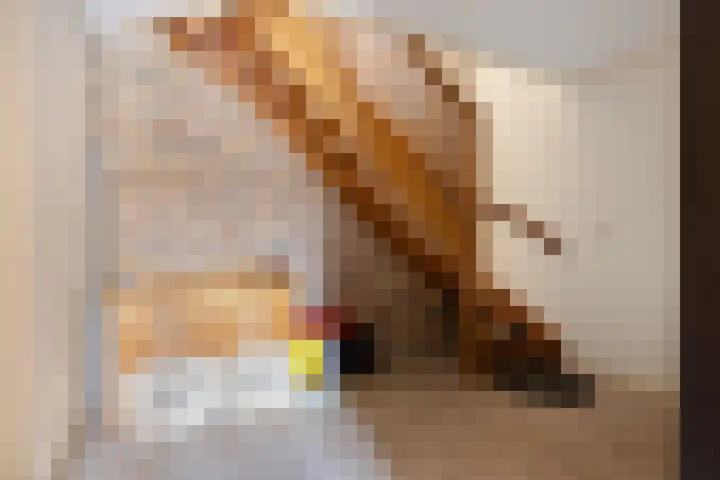 Bouwlust 14 Zoeterwoude thumbnail 65