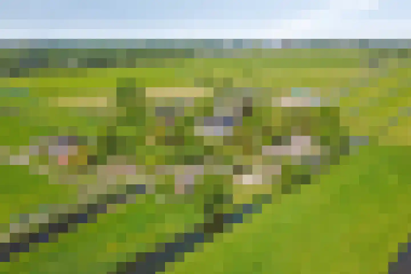 Bouwlust 14 Zoeterwoude thumbnail 85