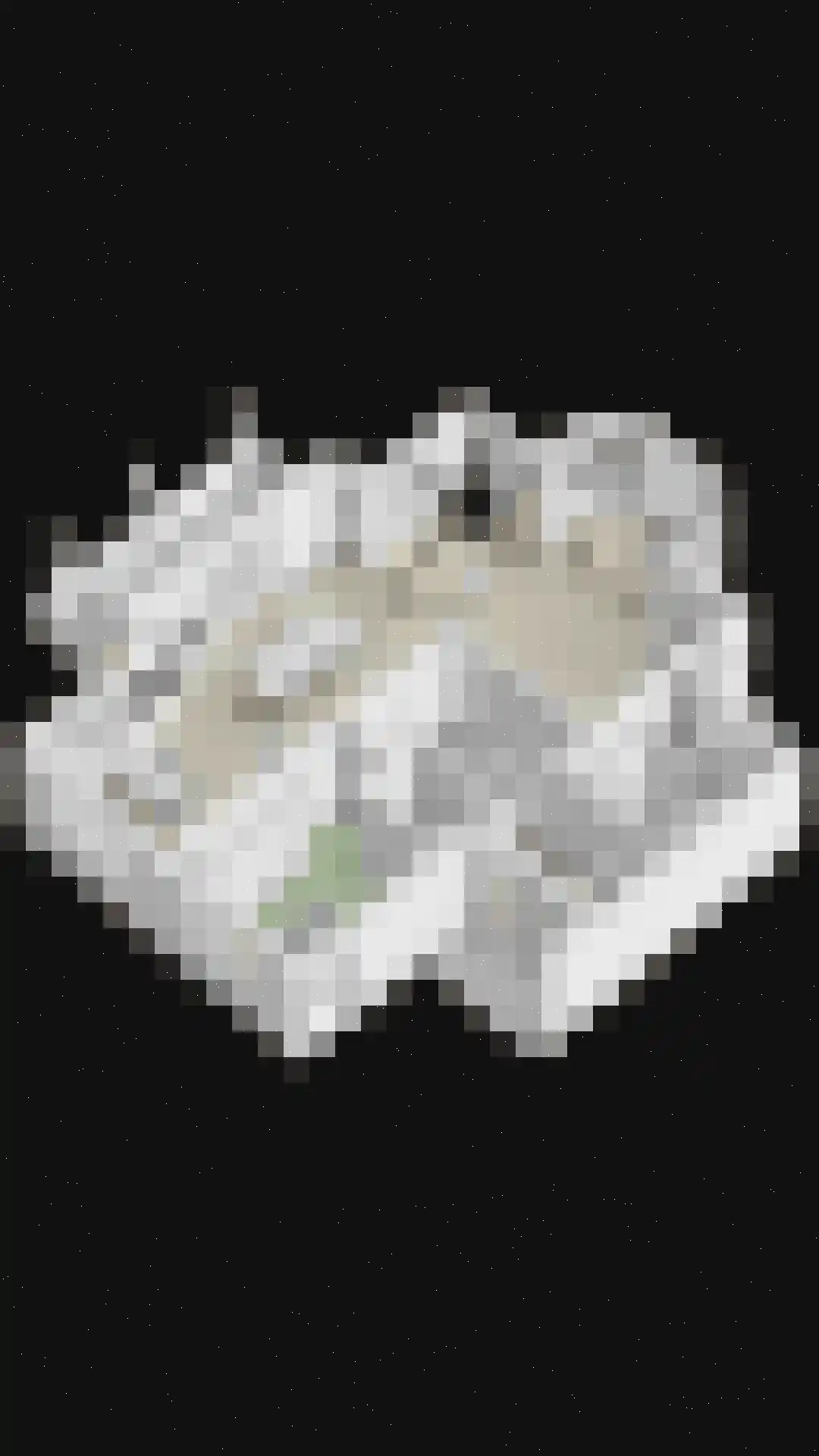 Bouwlust 14 Zoeterwoude thumbnail 91