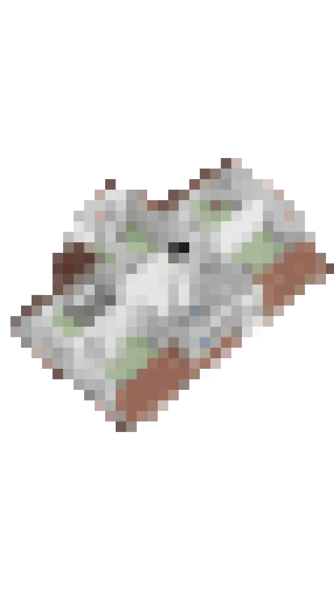 Bouwlust 14 Zoeterwoude thumbnail 93