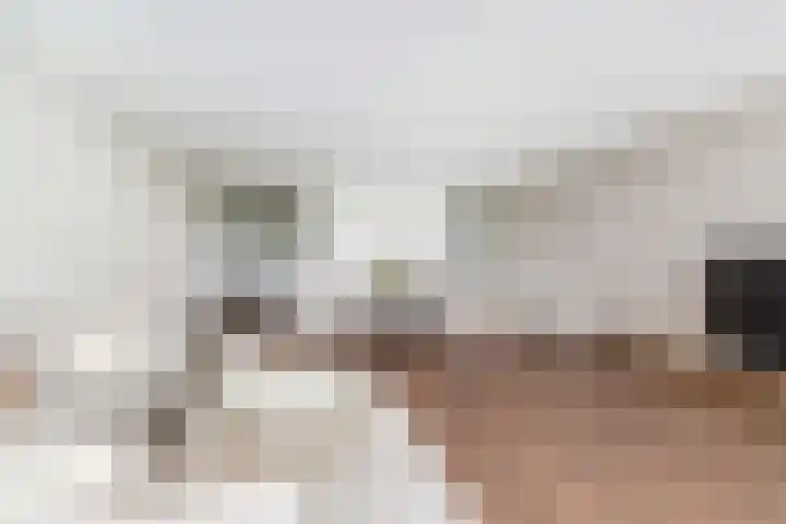Bouwlust 31 Rhoon thumbnail 18