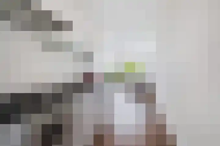 Bouwlust 31 Rhoon thumbnail 22