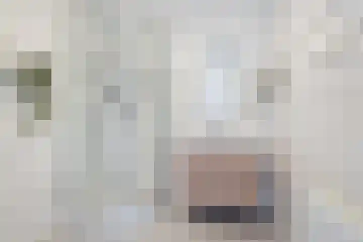 Bouwlust 31 Rhoon thumbnail 27
