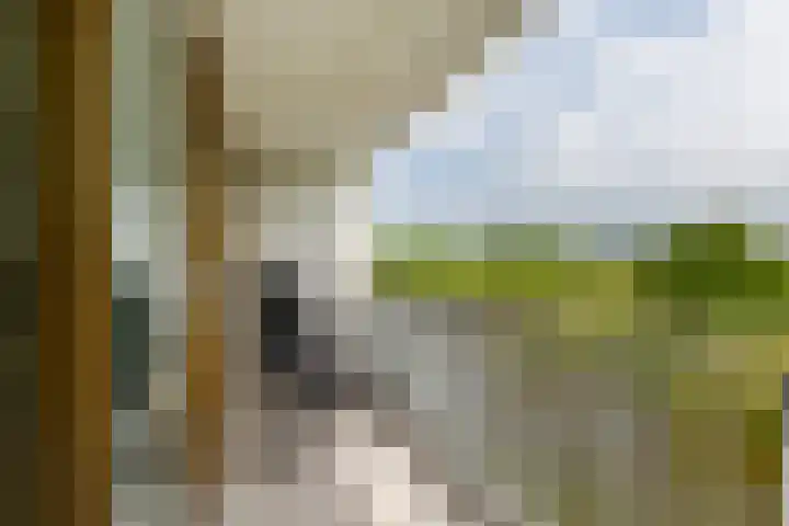 Bouwlust 31 Rhoon thumbnail 29