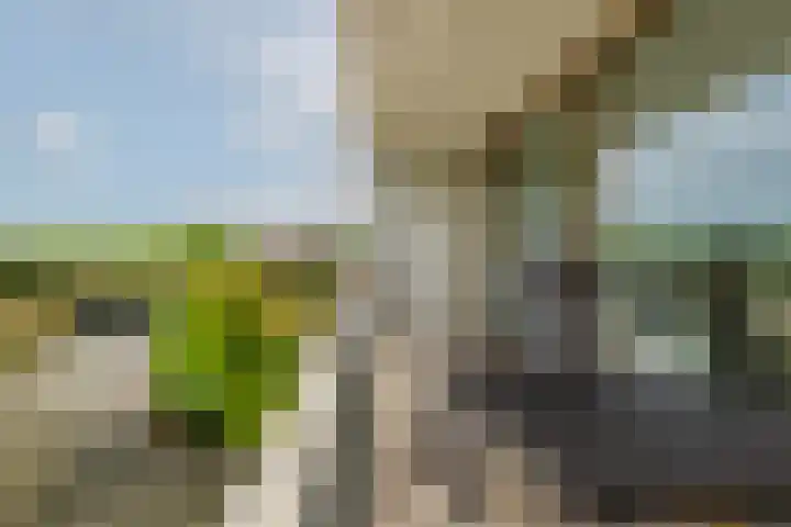 Bouwlust 31 Rhoon thumbnail 30