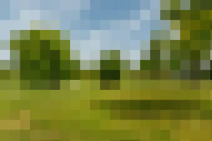 Bouwlust 31 Rhoon thumbnail 33