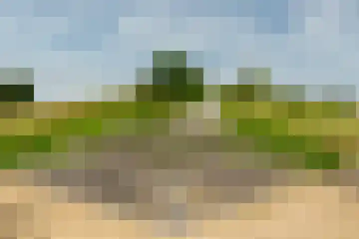Bouwlust 31 Rhoon thumbnail 34