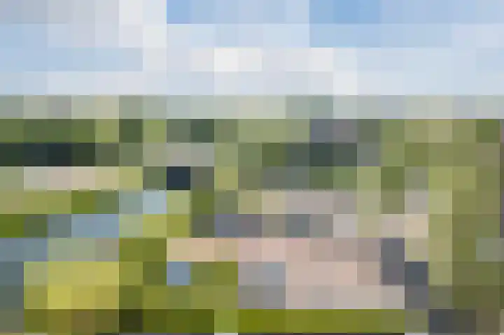 Bouwlust 63 Rhoon thumbnail 38
