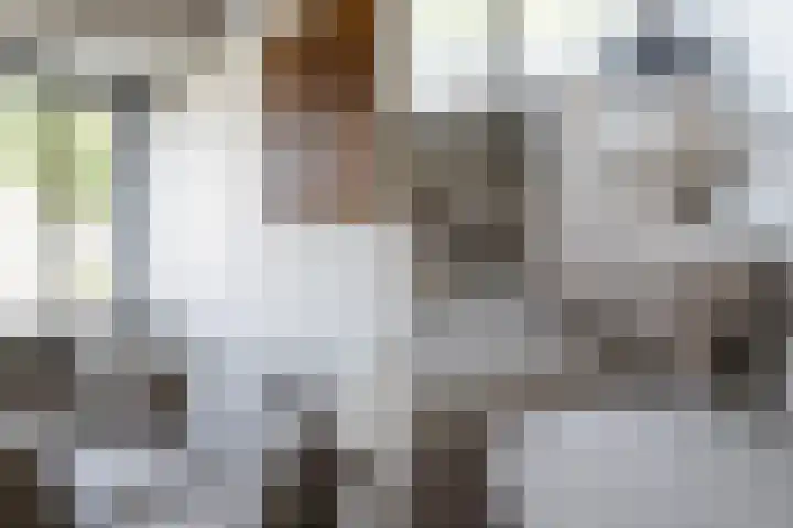 Bouwlust 8 Joure thumbnail 14
