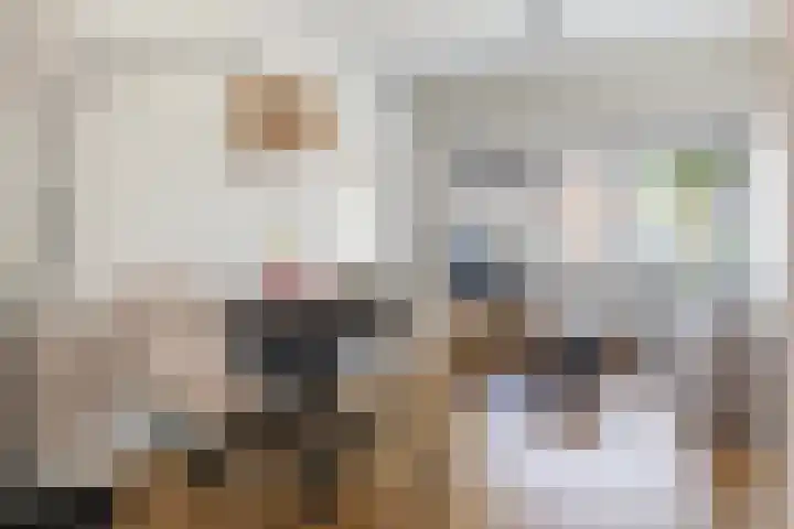 Bouwlust 8 Joure thumbnail 16