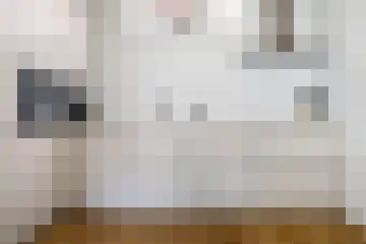 Bouwlust 8 Joure thumbnail 18