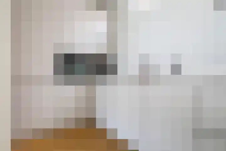 Bouwlust 8 Joure thumbnail 19