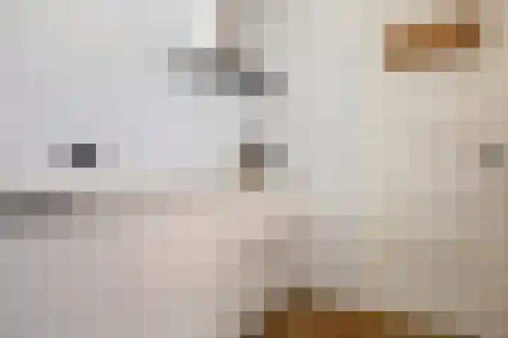 Bouwlust 8 Joure thumbnail 20