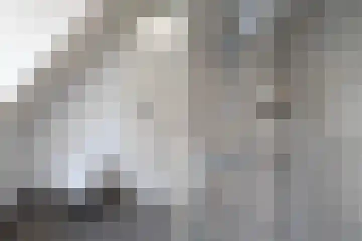 Bouwlust 8 Joure thumbnail 27