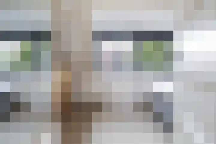 Bouwlust 8 Joure thumbnail 28