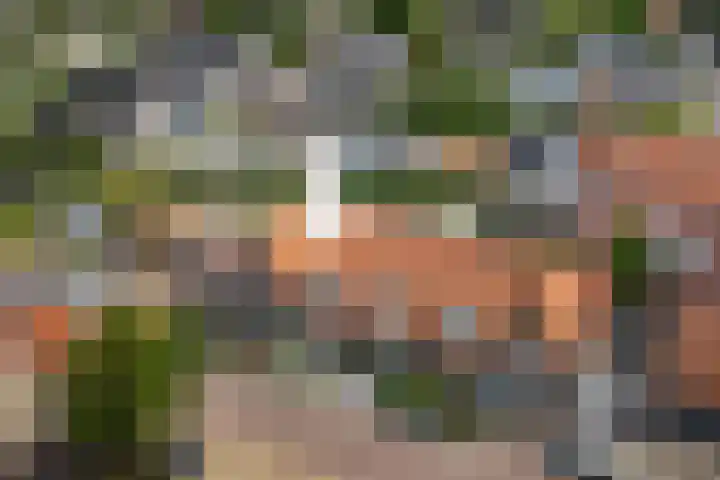 Bouwlust 8 Joure thumbnail 33